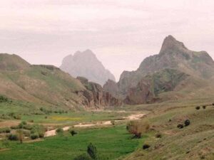 image-44-1592036113