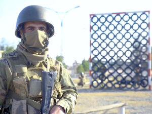 image-telim-1