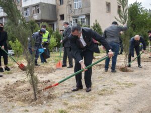 image-1_9