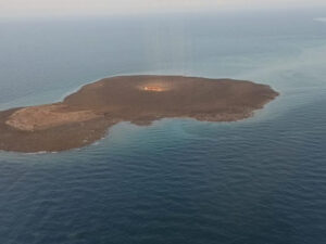 image-1625464678_a1-1