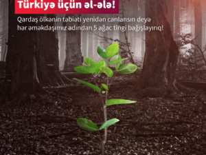 image-agac-1x1