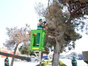 image-dsc_8021