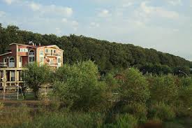image-images