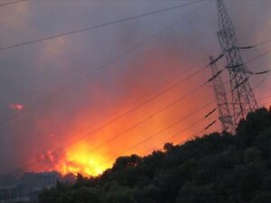 image-turkey_fire_tes_040821