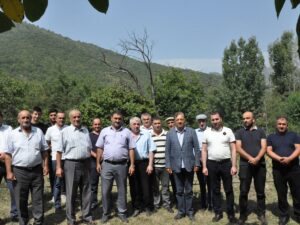 image-33