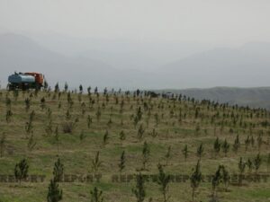 image-38