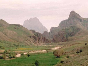 image-61