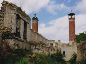 image-img_0669