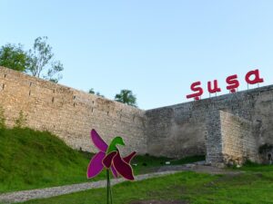 image-24