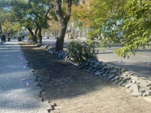 image-30