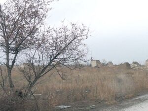 image-35