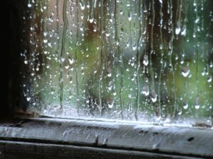 image-43