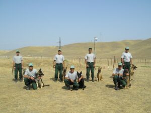 image-43