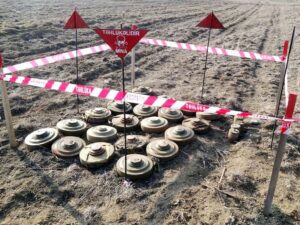 image-48