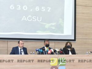 image-35