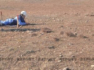 image-48