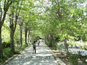 image-48