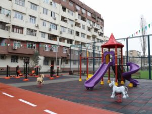 image-68