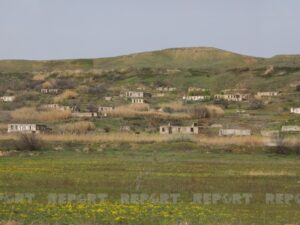 image-88