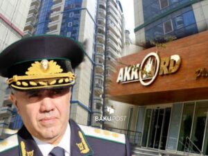 image-qaralov