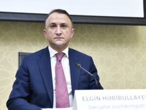 image-elgun