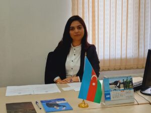 image-image
