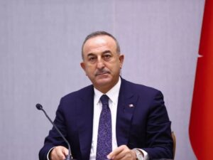 image-36ac6f53-49d3-32fd-8749-cc63564beb3d_850