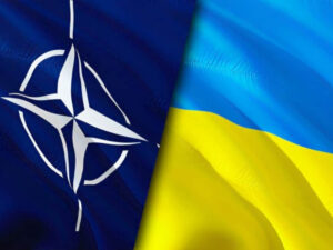 image-623d48084f5fd623d48084f5fe1648183304623d48084f5f8623d48084f5fb