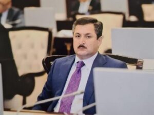 image-malik1