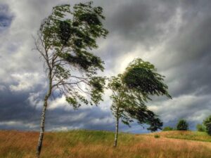image-1271d61a-13e3-38a4-8b43-52b73a1173e5_850