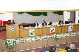 image-2-8