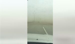image-2c8008a0-2437-3d65-9f19-57230e117c65