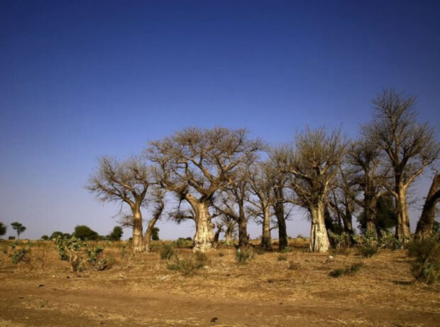 image-62661a2cda0f262661a2cda0f3165085854062661a2cda0f062661a2cda0f1