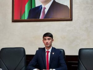 image-image-1