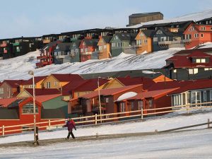 image-norvec