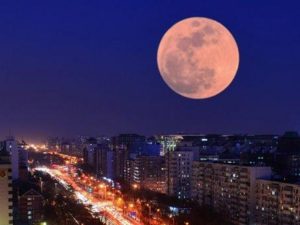 image-d0ca2e5b-8c95-3084-9670-d205b35cdb54_850