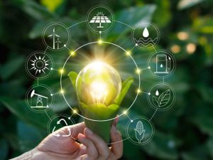 image-photo-2022-07-21-16-25-21