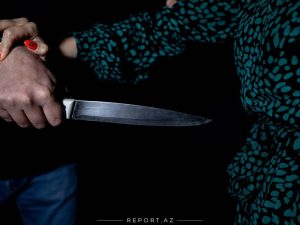 image-169a2e0a-7f66-3722-958d-c673fb0f7e52_850