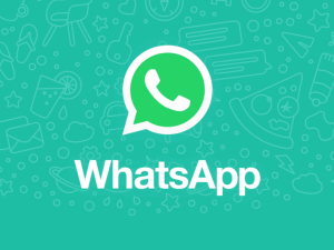 image-770f1094-d267-3da8-a9d9-4a69130f3568_850