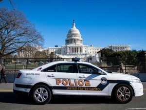 image-294d3f95-4c8c-33d0-90a3-b2561671a98b_850