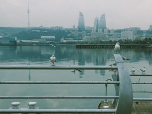 image-9be6be4d-96dc-312f-998f-35ca4492d492_850