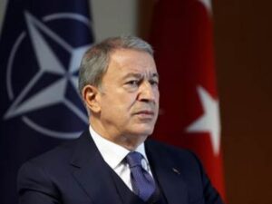 image-akar-1-696x464