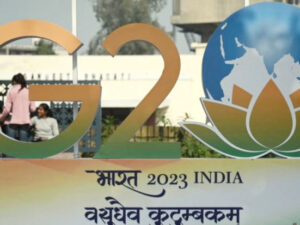 image-g20