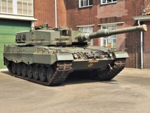 image-leopard-1-696x434