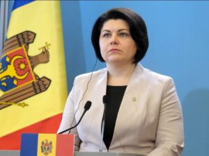 image-1676027788_nataliya-qavrilitsa