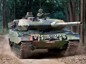 image-leopard-696x434