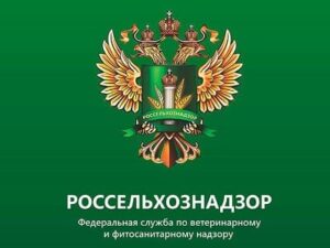 image-000
