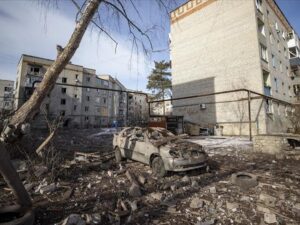 image-6403544bf3f6a