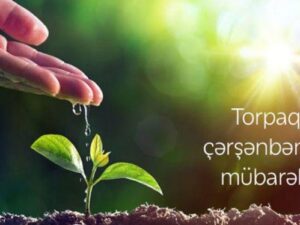 image-torpaq-cersenbesi-696x374