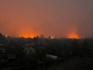 image-88